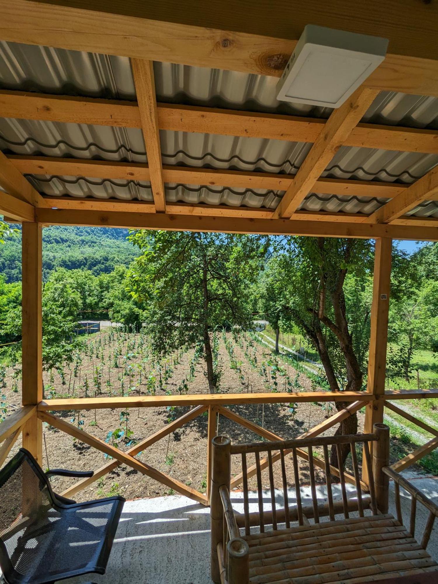 Kipiani Guest House Ყიფიანის Სახლი Khvanchkara Luaran gambar