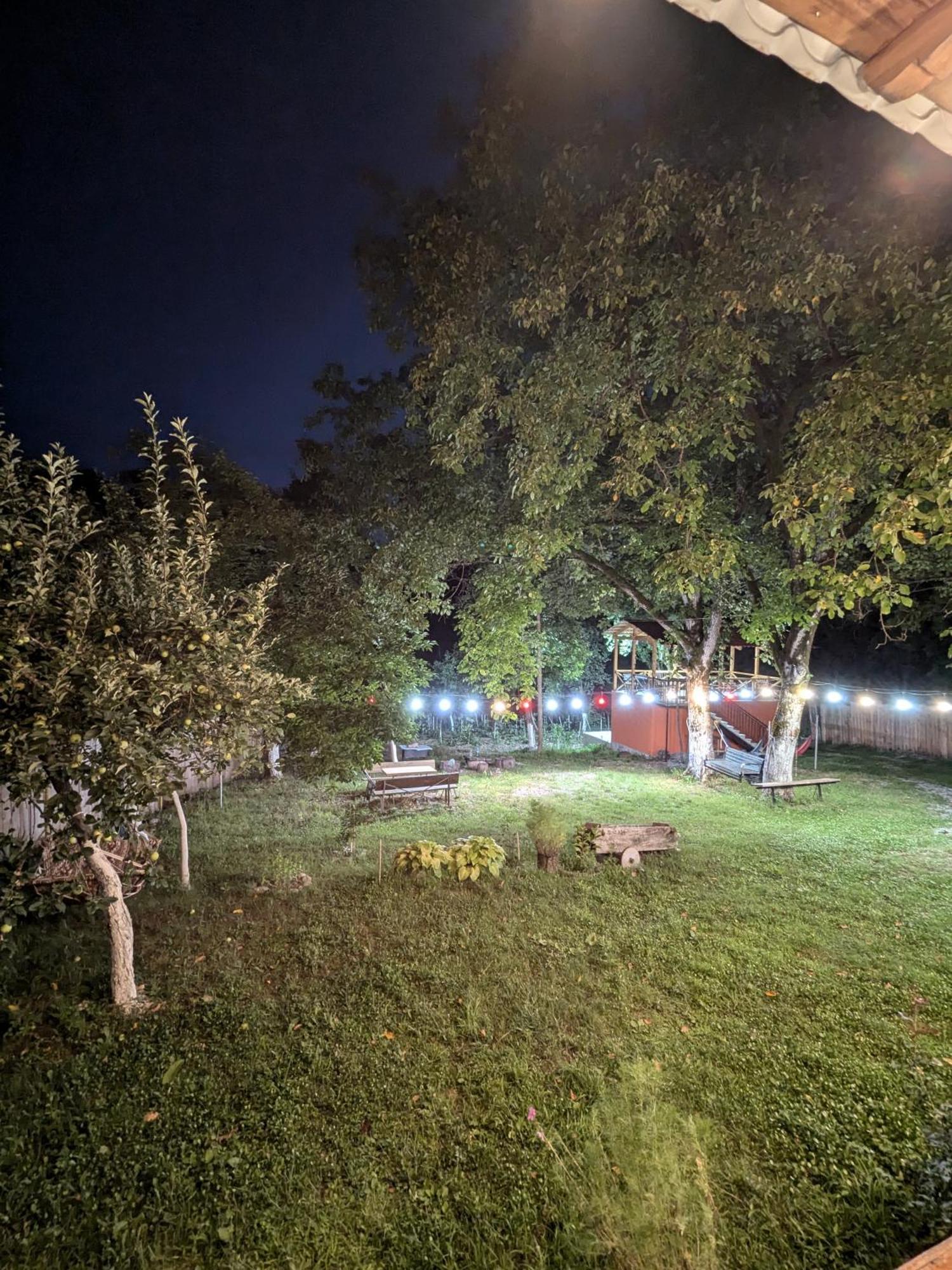 Kipiani Guest House Ყიფიანის Სახლი Khvanchkara Luaran gambar